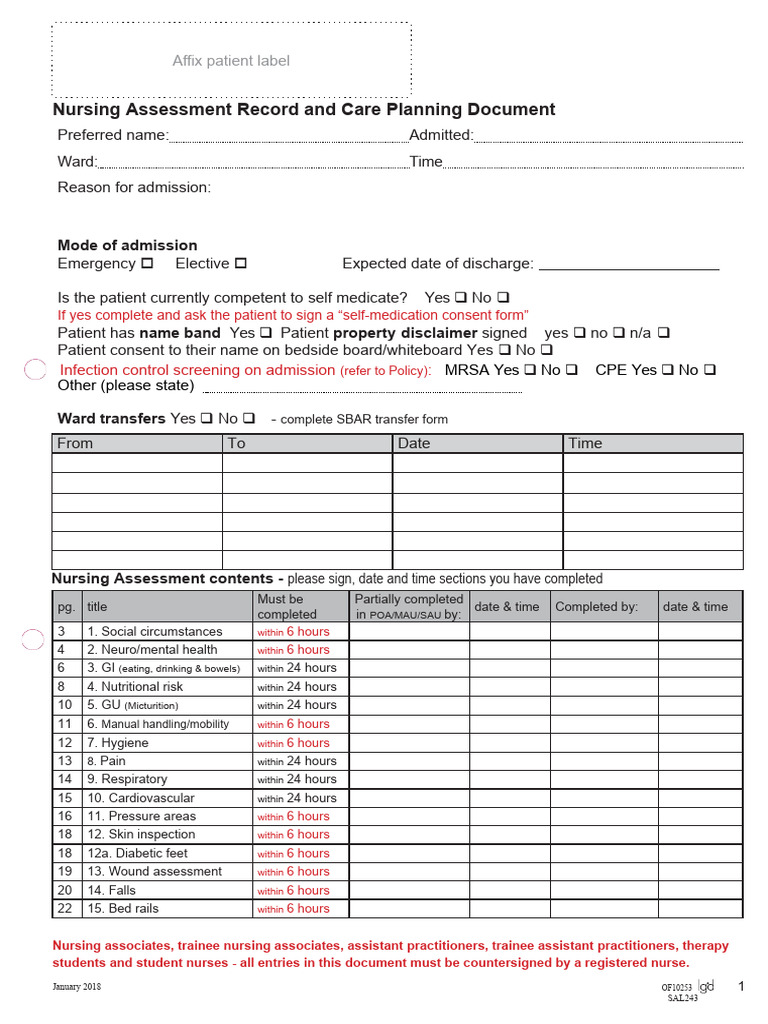 Nursing Assessment Template 11 PDF Urinary Incontinence Dietary Supplements
