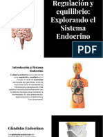 Wepik Regulacion y Equilibrio Explorando El Sistema Endocrino 20231120134458fywy