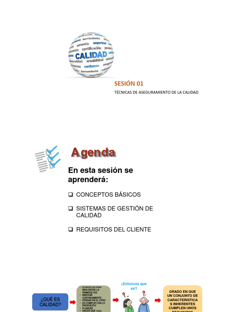 Tecnicas de Aseguramiento de La Calidad Sesion 1-6 | PDF | Negocios