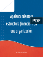 Apalancamiento y Estructura Financiera en Una Organizacion