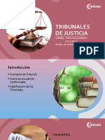 Power Point Tribunales de Justicia Eva Garcia y Fernanda Marquez
