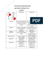 Primeras Tareas de Segundo Parcial