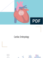 Congenital Heart Diseases