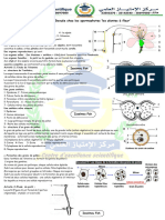 Spermaphytes Iss