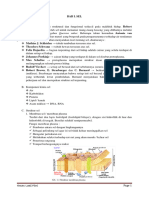 Modul Xi Mipa Sem 1 2023