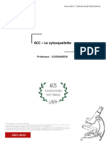 Acc - Cytosquelette