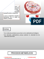 Metabolismo Fisiología