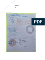 Atividade Estudo Dirigido