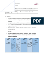 Informe de Práctica No 5