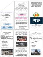 Triptico de Las Emociones