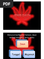 Download daun majemuk by Fnr Raditya SN68591437 doc pdf