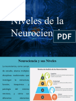 Grupo 3 Niveels de La Neurociencia