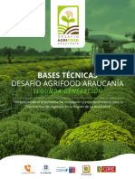 Bases Desafio Agrifood Araucania