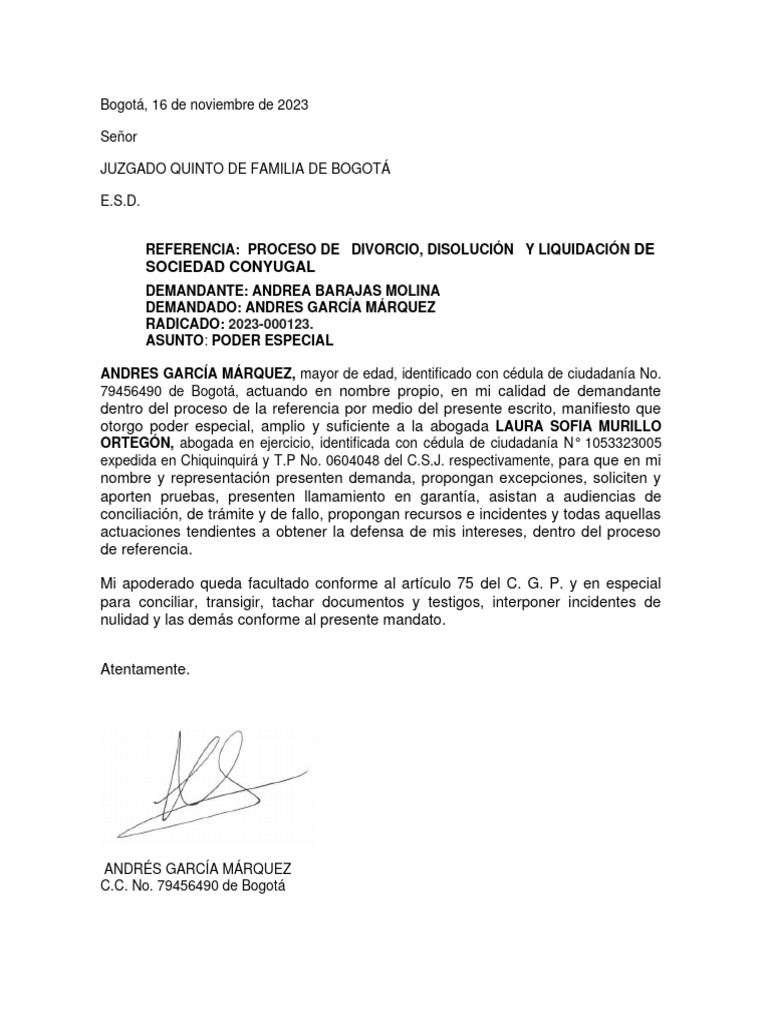 Contestacion Demanda Familia | PDF | Propiedad de la comunidad | Divorcio