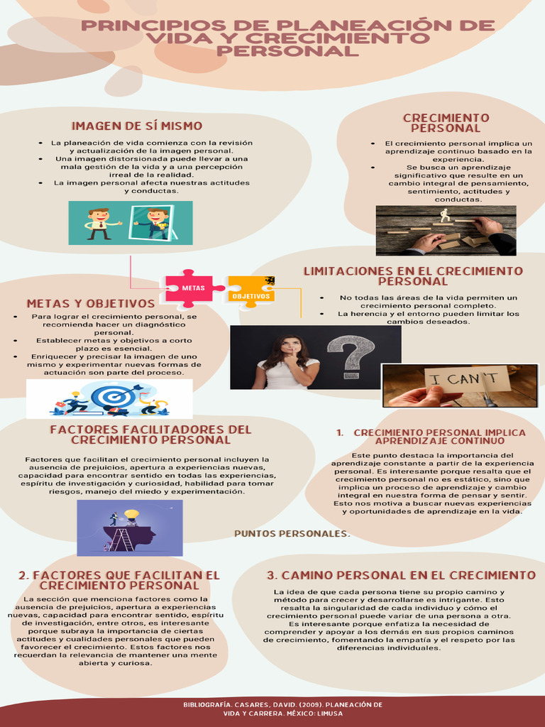 Infografia Plan de Vida y Carrera | PDF