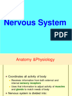 Lecture-5-Nervous System