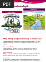 Biogeochemical Cycle