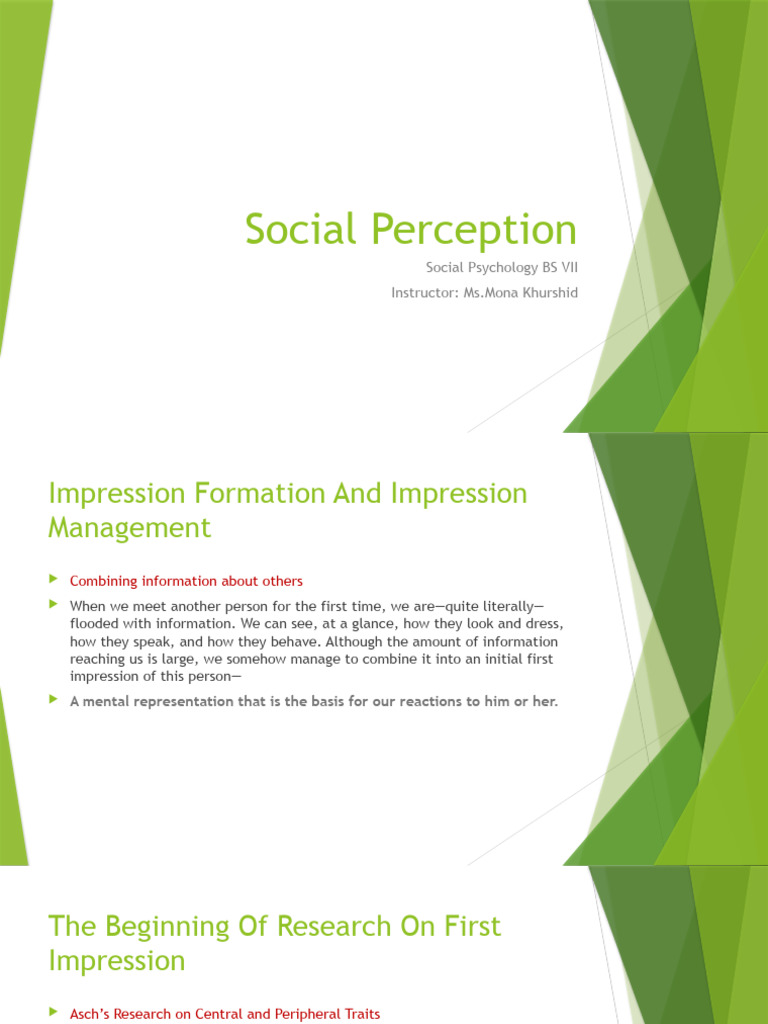 Impression Formation and Attribution Theory | PDF | Bias ...