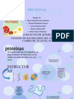 Proteinas Expo T.S.Q