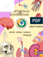 Documento A4 Portada Proyecto de Biología Ilustrado Rosa