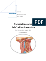 Compartimientos Del Cuello e Inervacion