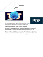 Funciones Del Cerebro en El Aprendizaje