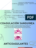 Coagulación Sanguinea