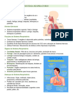 Sistema Respiratorio