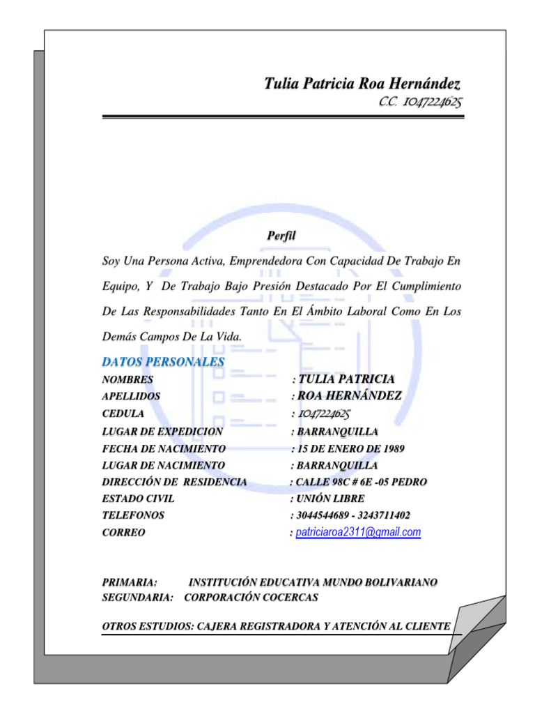 HOJA de VIDA Tulia Patricia Roa Hernández 2023 | PDF