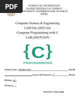 C Practicalfile Format