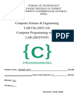 C Practicalfile Format