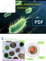 Monera, Protoctista y Hongos