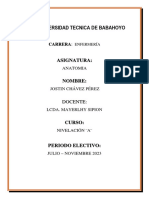 Anatomia Posiciones Del Cuerpo