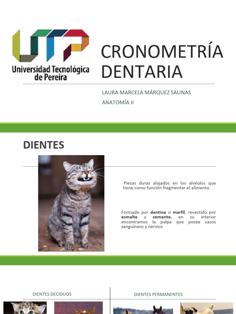 Fórmulas Dentarias en Animales | PDF | Diente | Anatomia animal