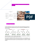 Tema 9 BQ Clínica Y Patología Molecular