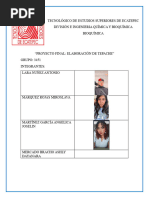 Proyecto Final Tepache