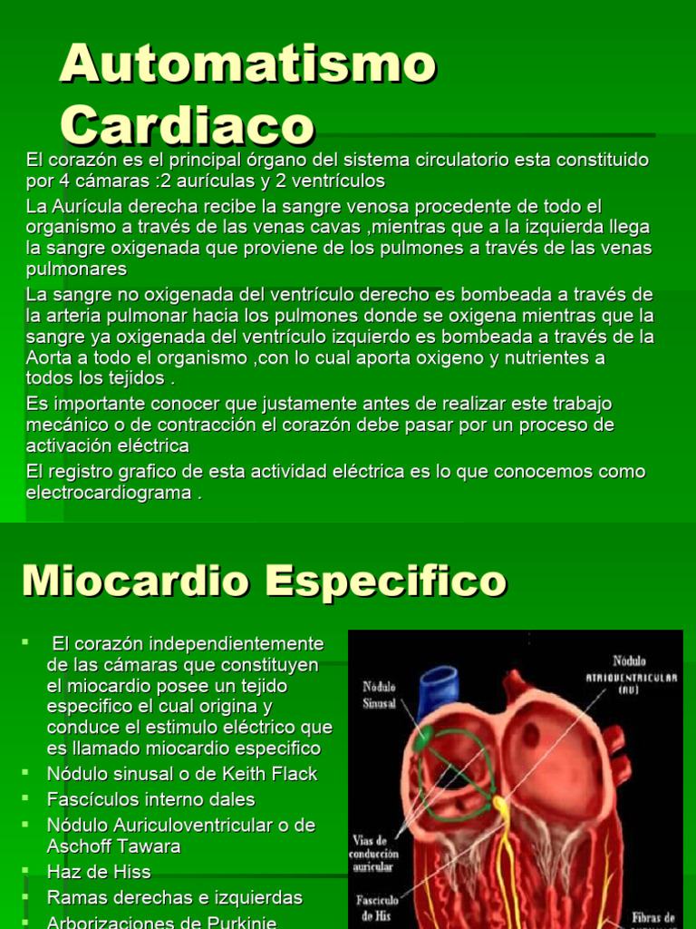 Automatismo Cardiaco 2 | PDF | Electrocardiografia | Corazón