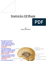 Ventricles of Brain