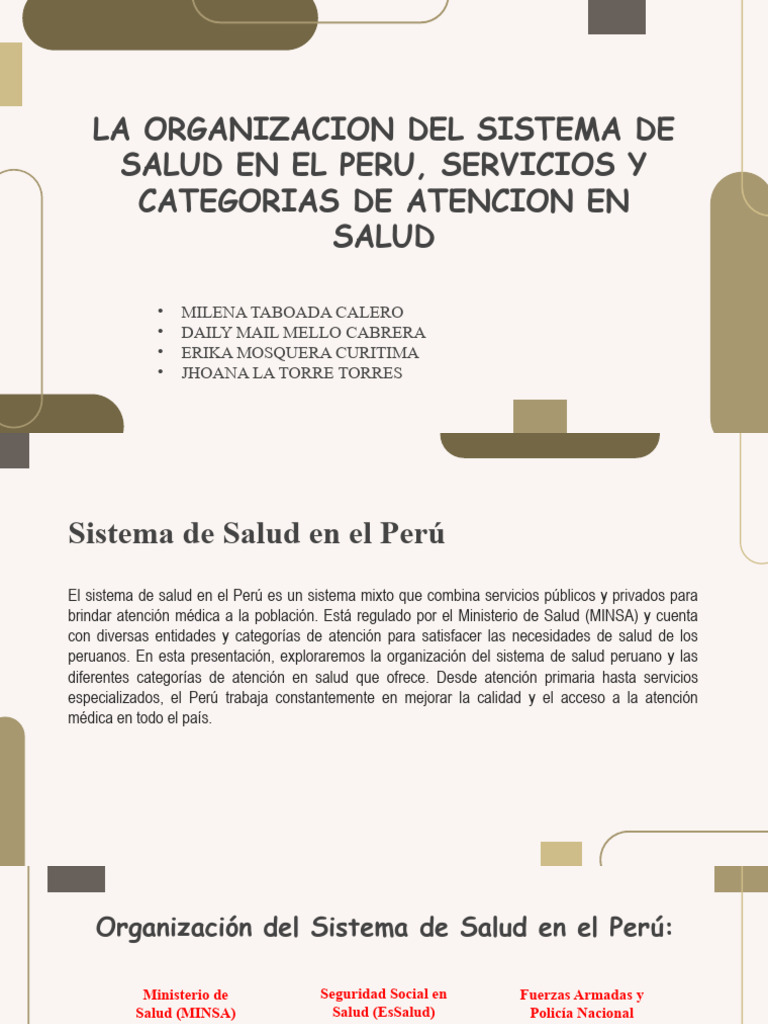 Organización del Sistema de Salud en Perú | PDF | Hospital | Cuidado de ...