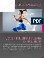 Metabolismo Energetico Shey