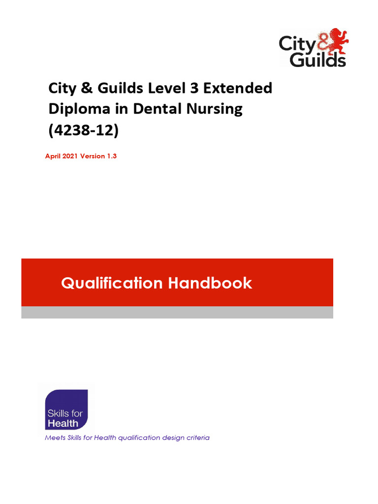 City & Guilds Level 3 Extended Diploma Indental Nursing (4238-12) | PDF ...