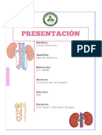 Practica de Nefrologia