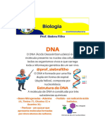 Genética - DNA, RNA e Bases Nitrogenadas