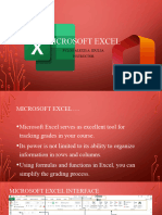 Microsoft Excel