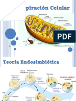 Respiracion2.1 Print