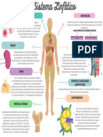 Mapa Mental Sistema Linfático