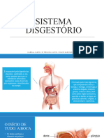 Sistema Digestório)