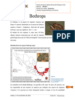 Serpiente Bothrops y Sus Lesiones - Barbara Rodriguez Cortes