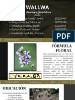 Psoralea Glandulosa-Grupo10