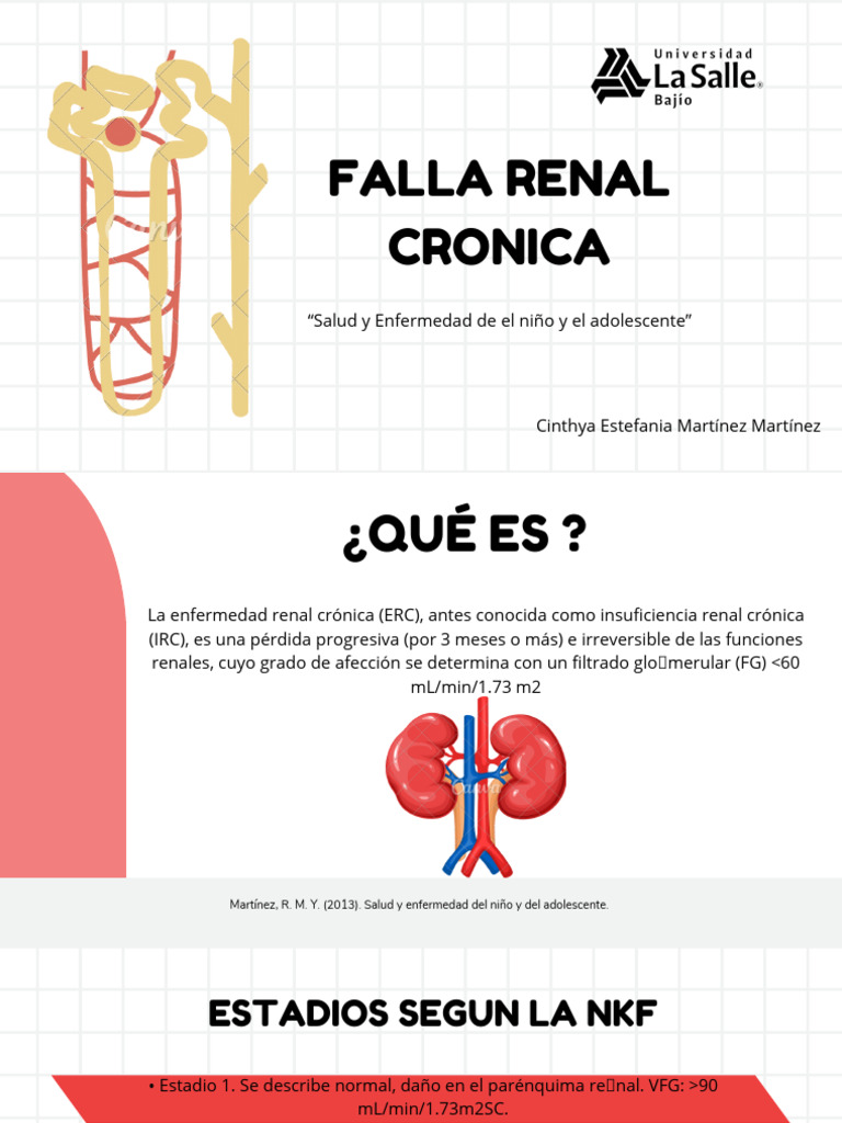 falla-renal-cronica-pdf-enfermedad-renal-cr-nica-medicina-clinica